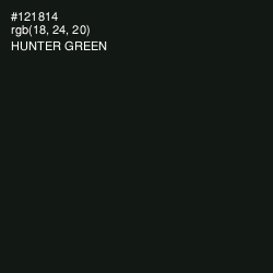 #121814 - Hunter Green Color Image